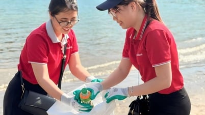 Cán bộ nhân viên SeABank chung tay làm sạch 11 bãi biển vì môi trường xanh