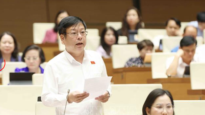 Đại biểu chất vấn ngân sách chi cho đại học giảm trong 10 năm qua