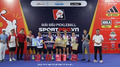 Pickleball Club 79 បានឈ្នះការប្រកួត Sportpro.vn Pickleball Tournament - Khanh Hoa Open 2025