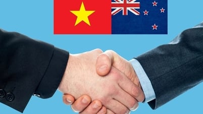 Thư mừng nhân kỷ niệm 50 năm Ngày thiết lập quan hệ ngoại giao Việt Nam New Zealand