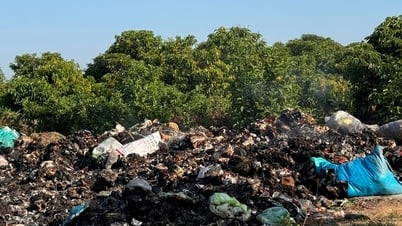 Hải Dương hỗ trợ kinh phí vận chuyển rác cho 4 xã huyện Gia Lộc và 2 thôn của huyện Kim Thành