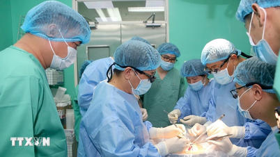 Kỳ tích y khoa tại Huế: Đồng loạt ghép tim, gan, giác mạc xuyên Việt