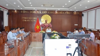 Soc Trang Provincial People's Committee works online with the Asian Development Bank in Vietnam