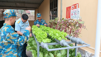 គំរូដាំបន្លែ Hydroponic នៃការពារអាកាស - ទ័ពអាកាស