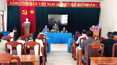Inspection de la préparation du fonctionnement du nouvel appareil gouvernemental communal et des secours en cas de catastrophe dans la commune de Sy Binh