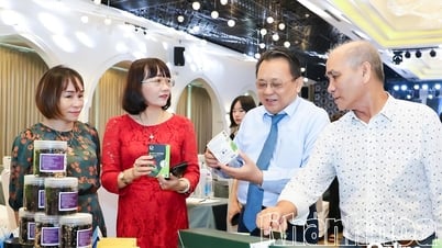 Tiếp tục nâng tầm giá trị sản phẩm OCOP