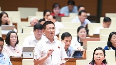 Phó Thủ tướng Hồ Đức Phớc : Nên khoán thuế với hộ có doanh thu dưới 1 tỷ đồng