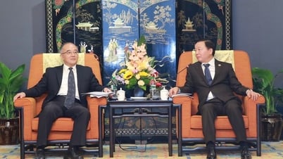 Deputy Prime Minister Tran Hong Ha received leaders of two large Chinese energy and transport construction enterprises.