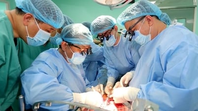 El Hospital Central de Hue realizó con éxito cuatro trasplantes de órganos