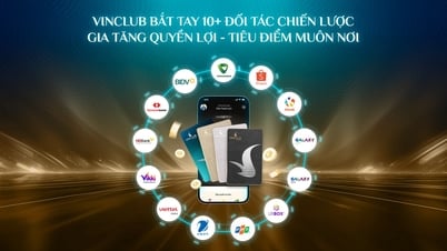 Vinclub hợp tác chiến lược với hơn 10 đối tác hàng đầu