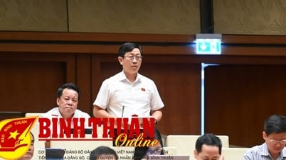 Chất vấn Bộ trưởng Giáo dục: Trường Đại học có đủ lực để chuyển giao công nghệ?
