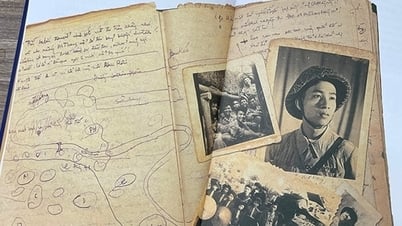 Besonderes Tagebuch des Kriegsberichterstatters von Dien Bien Phu