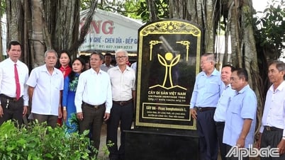 Huyện Gò Công Tây: Công bố Quyết định công nhận Cây Di sản Việt Nam