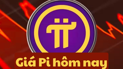 ราคา Pi Network วันนี้ 19 มิถุนายน 2568 : ในไตรมาส 2 ปี 2568 จะลดลงอีกเท่าไร?