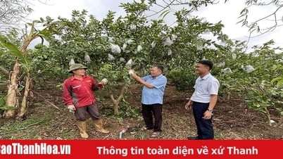 Phát huy vai trò của MTTQ trong xây dựng nông thôn mới