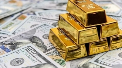 Fast 43 % der Zentralbanken planen, im nächsten Jahr mehr Gold zu ihren Reserven hinzuzufügen