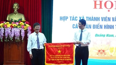 Quỹ tín dụng tập thể ở Quảng Nam phát huy nguồn vốn hợp tác