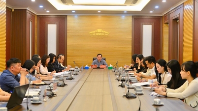 Bảo tàng Hồ Chí Minh họp Hội đồng Khoa học xét duyệt Đề cương Trưng bày “Hải Phòng – Vươn tới những tầm cao”