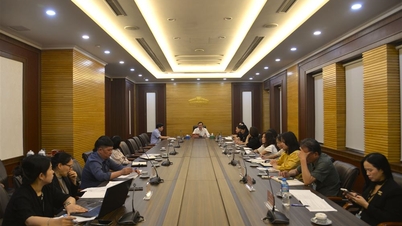Hội đồng Khoa học Bảo tàng Hồ Chí Minh họp duyệt nội dung Trưng bày chuyên đề “Đất nước trọn niềm vui”
