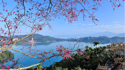 Reise nach Taiwan im Februar: Tauchen Sie ein in die romantischen Tage des Spätwinters