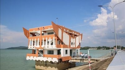 ダウティエン湖のハイテク農業の「黄金の」目的地