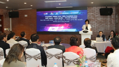 Fomentar las conexiones entre las empresas coreanas y de Hai Phong a través de actividades de promoción comercial