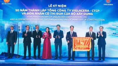 Chủ tịch Viglacera xin từ nhiệm để thực hiện các công việc theo kế hoạch