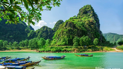 Près de 500 milliards de VND investis dans l'écotourisme à Phong Nha - Ke Bang