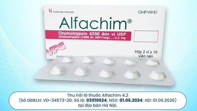 Dược Cửu Long thông báo thu hồi sản phẩm Alfachim 4.2 số lô 03010624 tại Hà Nội