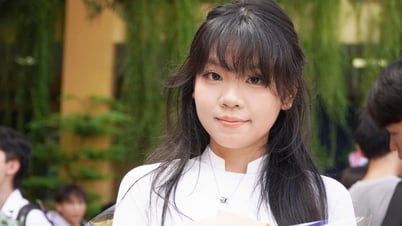 Preguntas y respuestas del examen de literatura de 10.º grado (2025), provincia de Binh Phuoc
