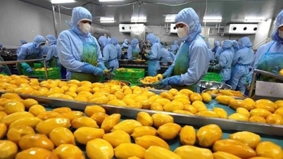 Mettre en œuvre des mesures pour assurer la production et l'exportation agricoles