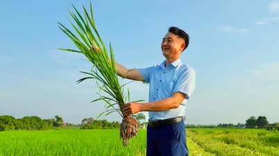 Kinh Môn, Nam Sách không có ruộng hoang