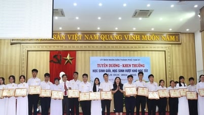 Eine weitere „goldene Saison“ der Tam Ky-Ausbildung