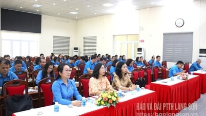 해당 지역의 60명 이상의 정규 노조 간부가 전문적인 교육을 받았습니다.