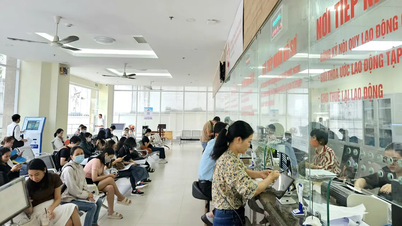 Propuesta para que Ciudad Ho Chi Minh y Hanoi organicen no más de 15 departamentos