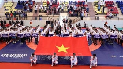 Plus de 500 athlètes ont participé aux Championnats nationaux de lutte classique et libre pour les jeunes.
