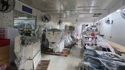 La société par actions Bibica démantèle volontairement une usine dans le parc industriel de Bien Hoa 1