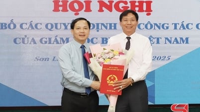 ประกาศผลการตัดสินใจของผู้อำนวยการสำนักงานประกันสังคมเวียดนามเกี่ยวกับงานบุคลากร
