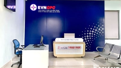Da Nang Electricity führt digitales Transaktionsbüromodell ein