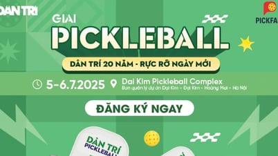Thư mời tham dự giải Pickleball "Dân trí 20 năm - Rực rỡ ngày mới"