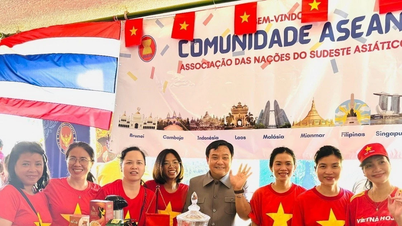Promoción de productos vietnamitas en feria culinario-cultural internacional en Brasil