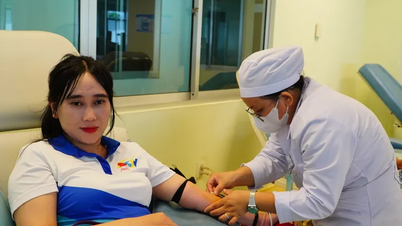 SCTV lanza programa nacional de donación de sangre en 2025