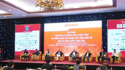 Diễn đàn DAVAS 2025:Cơ hội tiếp cận nhà đầu tư chiến lược