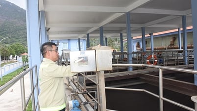 Resolviendo el problema del tratamiento de aguas residuales en Con Dao
