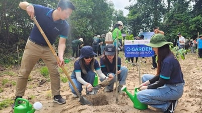 Hưởng ứng ngày môi trường thế giới, OPES trao tặng gần 1.300 cây giống tại Tây Ninh