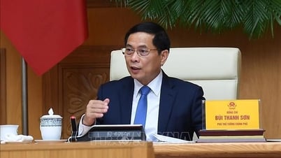 ブイ・タン・ソン副首相が世界ベトナム科学専門家組織の専門家と科学者らと会見