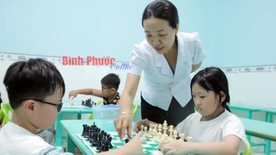 Thích ứng linh hoạt với sự đổi thay
