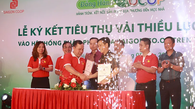 สหกรณ์ไซง่อน ลงนามสัญญาบริโภคลิ้นจี่ Luc Ngan ในจุดขายมากกว่า 800 แห่ง