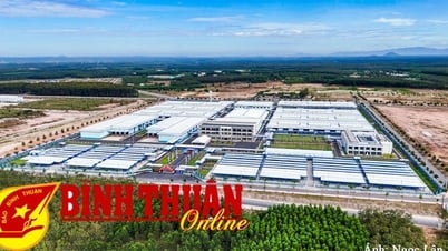 Binh Thuan promeut les investissements étrangers directs (IED) : HLI est un pionnier dans les projets d'industrie verte