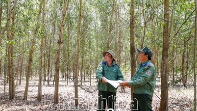 ตั้งใจไม่ให้เกิดไฟไหม้ป่า
